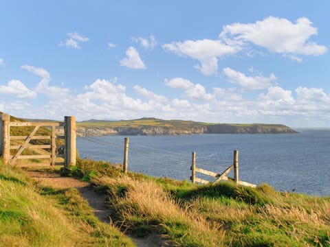 Outdoor area | Smithy Cottage, near Solva