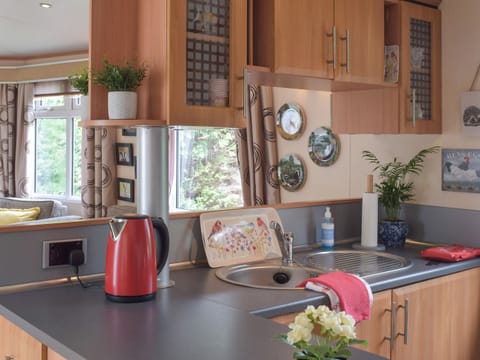 Kitchen area | Tranquillity Lodge, Ayr