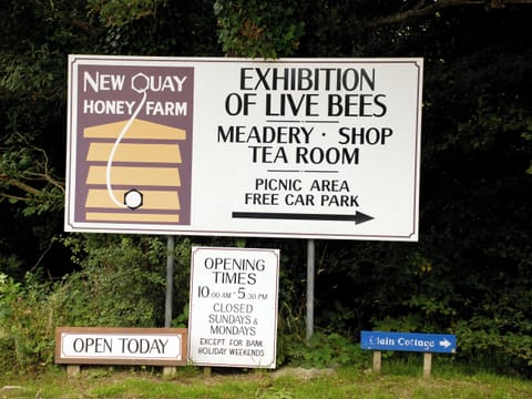 Outdoor area | Seafields, New Quay, near Cardigan