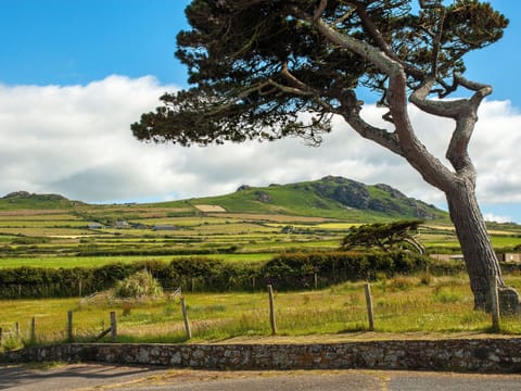 Outdoor area | Lighthouse Watch, Strumble Head, Pembrokeshire Coast National Park