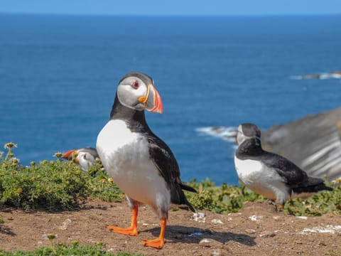 Beach | Rogeston Mount, Haverfordwest