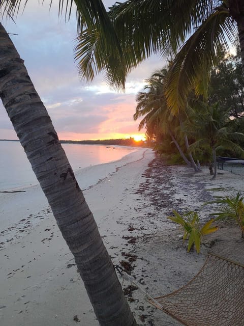 On the beach, sun loungers, beach towels