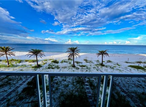 Beach nearby, sun loungers