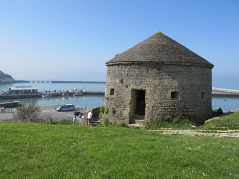 Table, Property, Cabinetry, Building, Dishware, Wood, Countertop, Interior Design, Tableware, Kitchen Appliance