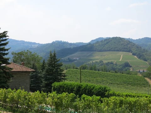 Sky, Mountain, Plant, Plant Community, Cloud, Ecoregion, Natural Landscape, Highland, Tree, Land Lot