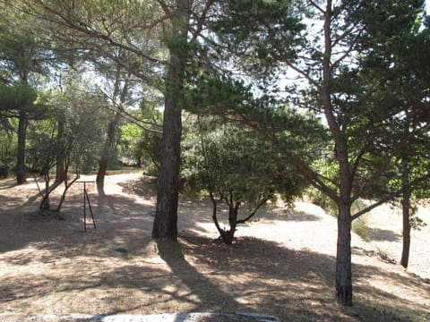 Sky, Plant, Building, Daytime, Property, Tree, Urban Design, Neighbourhood, Residential Area, Woody Plant