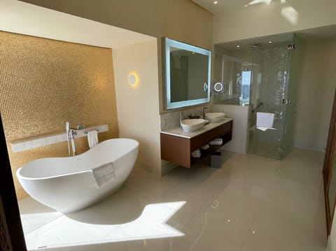 Combined shower/tub, jetted tub