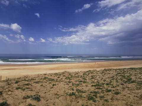 Beach nearby, sun loungers