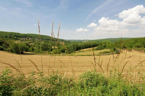 Region [summer] (&gt;5 km)