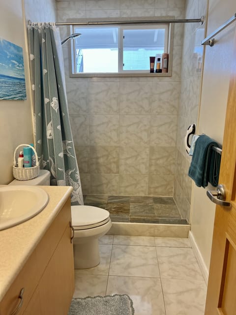 Combined shower/tub, hair dryer, towels, soap