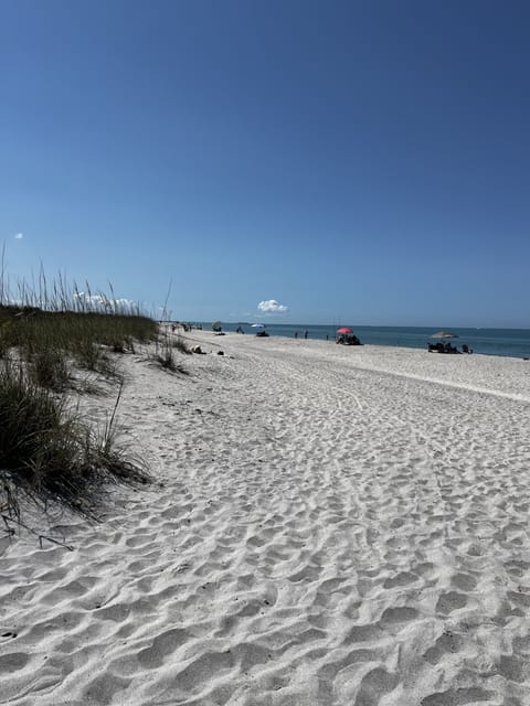 Beach nearby, sun loungers, beach towels