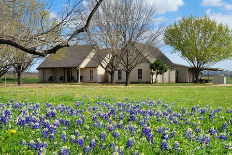 The perfect home base for Hill Country wildflower season.