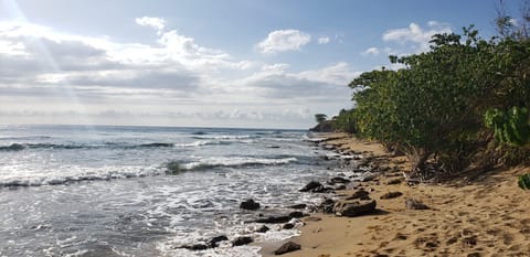 Beach nearby, beach towels