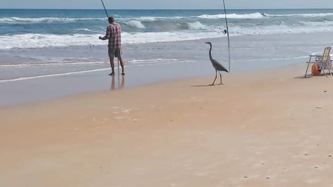 Beach nearby