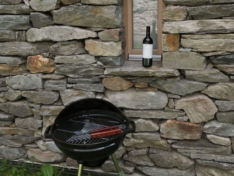 Bottle, Automotive Tire, Plant, Road Surface, Brickwork, Brick, Gas, Flooring, Grass, Wood