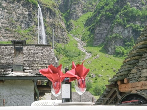 Flower, Plant, Nature, Mountain, Natural Landscape, Vegetation, Biome, Waterfall, Landscape, Geological Phenomenon