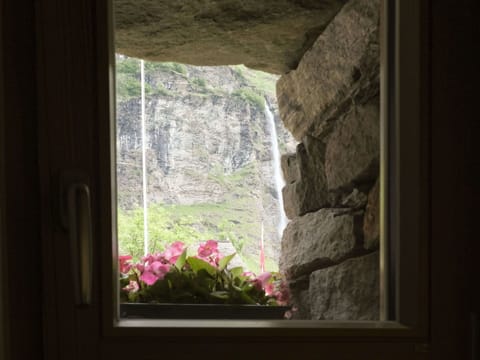 Flower, Plant, Window, Building, Sky, Wood, House, Tree, Rectangle