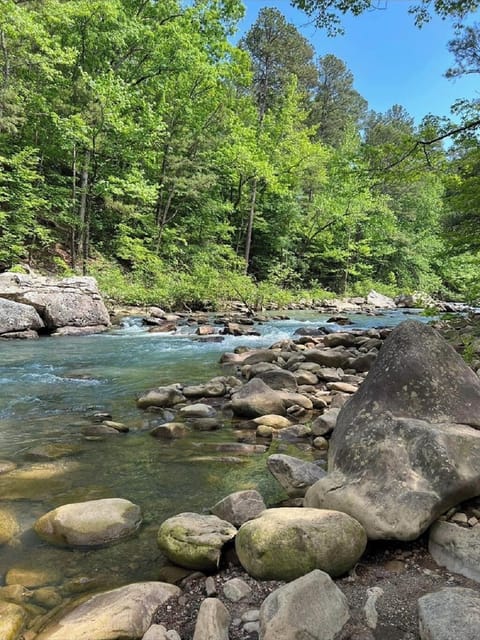 Half Bushel Bluff can be located using google maps. A short drive.