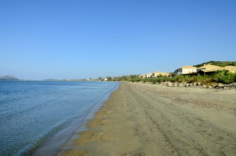 On the beach