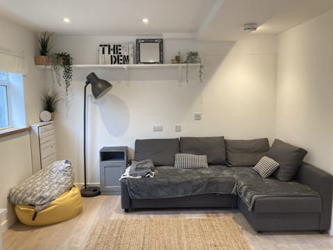 Lounge area with sofa bed