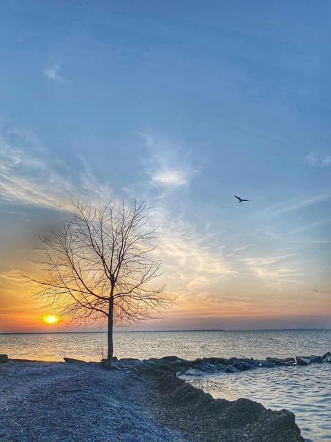 View from Showse Park