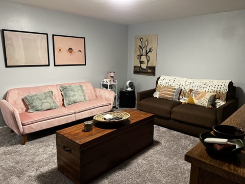 Basement Den with two sofas which convert to full beds