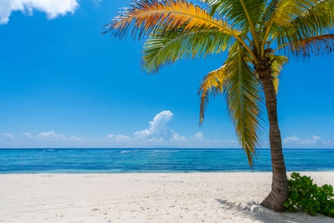 Private beach, sun loungers, beach towels