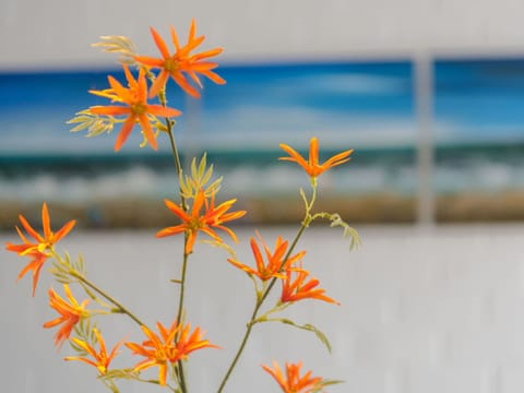 Sky, Plant, Building, Daytime, Property, Window, Tree, Architecture, Urban Design, Leisure