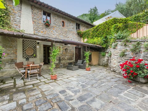 Plant, Property, Building, Window, Flowerpot, Sky, House, Tree, Road Surface, Houseplant