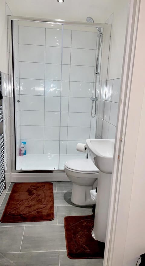 Combined shower/tub, hair dryer, towels