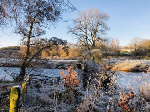 River Tweed in Winter