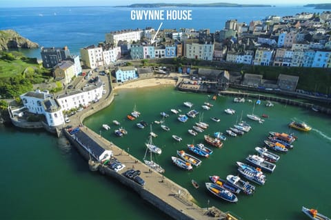Gwynne House - 6 Bed Holiday Home - Tenby Harbour (14355)