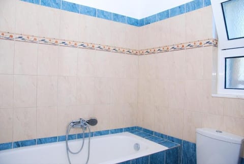 Combined shower/tub, hair dryer