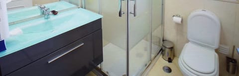 Combined shower/tub, bidet