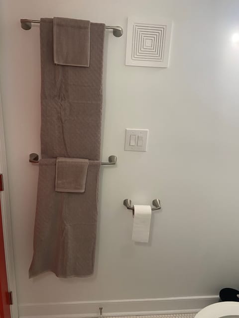 Shower, towels, toilet paper