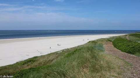 Beach nearby, sun loungers