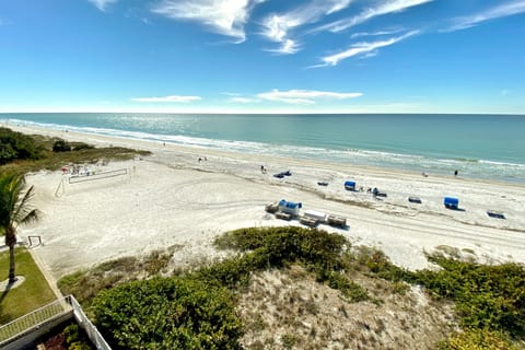 On the beach