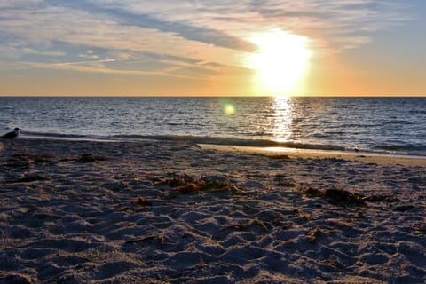 On the beach