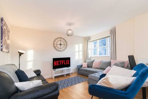 Smart TV, Netflix, streaming services