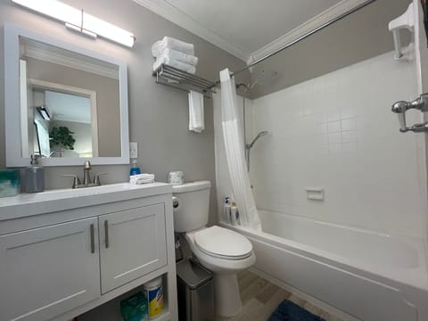 Bathtub, hair dryer, toilet paper