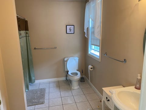 Combined shower/tub, hair dryer, toilet paper