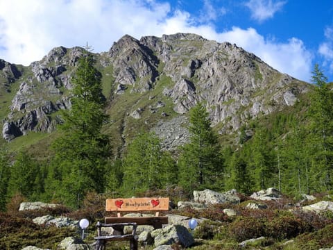 Cloud, Sky, Mountain, Plant, Plant Community, Ecoregion, Natural Landscape, Tree, Larch, Highland