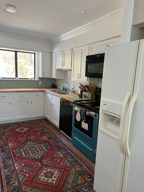 Electric range dishwasher and ice maker