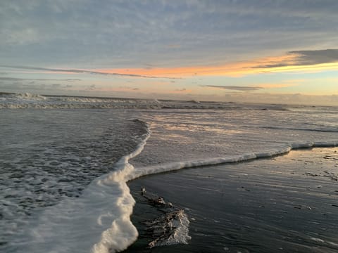 On the beach