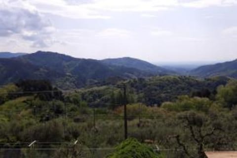 Region [summer] (&gt;5 km)