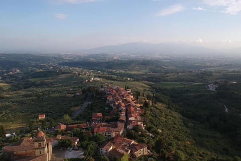 Region [summer] (&gt;5 km)