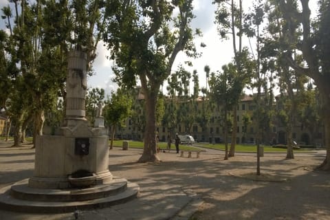 Immediate Surroundings [summer] (&lt;1 km)