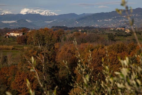 Region [summer] (&gt;5 km)