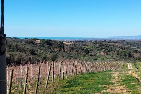 Region [summer] (&gt;5 km)