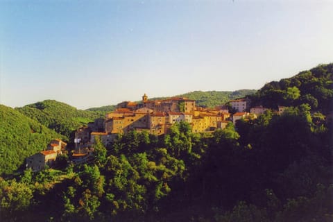 Immediate Surroundings [summer] (&lt;1 km)